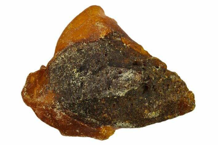 Rough Baltic Amber - Kaliningrad, Russia #132827
